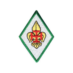 Distintivo Membro Mesa Conselho Nacional-0