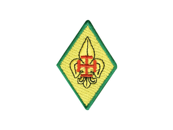 Distintivo Membro Mesa Conselho Núcleo-0