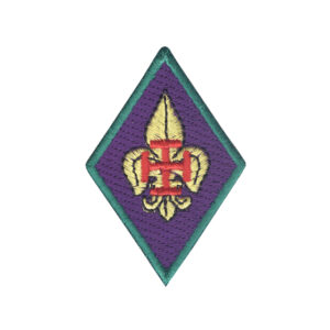 Distintivo Membro Mesa Conselho Regional-0