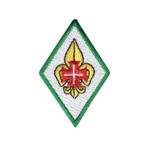 Distintivo Presidente Mesa Conselho Nacional-0