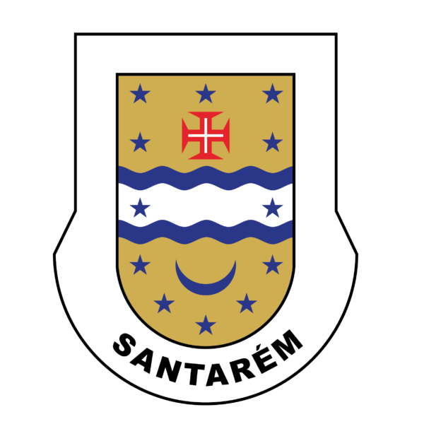 Distintivo Regional Santarém-0