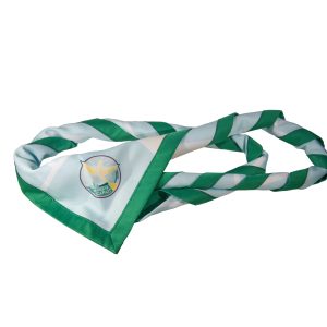 Lenço Peregrinação Nacional 2026